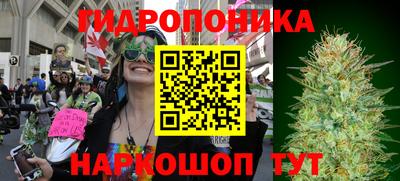 шишки Среднеуральск