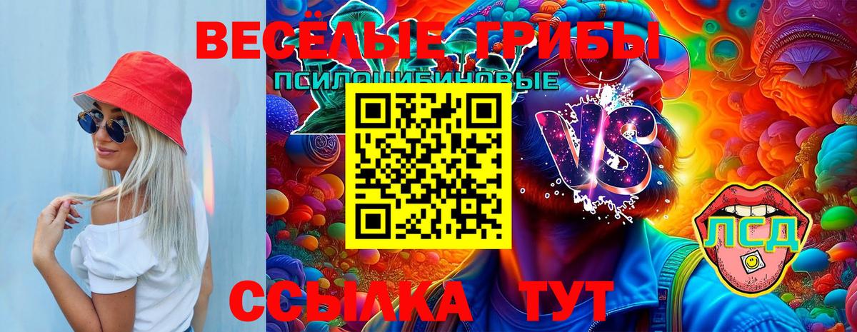 Псилоцибиновые грибы прущие грибы Отрадный