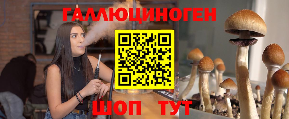 Отрадный  Псилоцибиновые грибы Magic Shrooms  Вход с VPN 